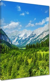 Vászonkép 50x70 Hegyi táj gyönyörű felhőkkel Fák a hegyekben