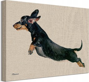 Fekete tacskó kutya vászonkép 40x30 cm