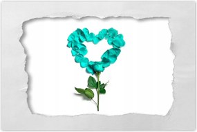 Poszter 60x40 Türkiz rózsa