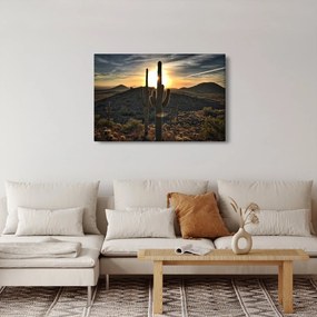 Kép - kaktuszok a napon (90x60 cm)