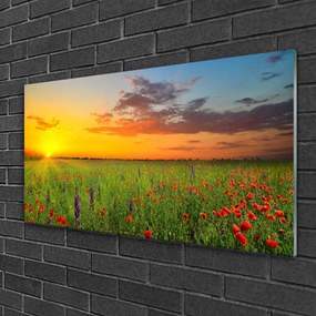 Akril üveg kép Sun mezei virágok Természet 100x50 cm