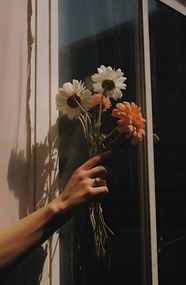 Poszter 53x81cm Sugár és szirmok