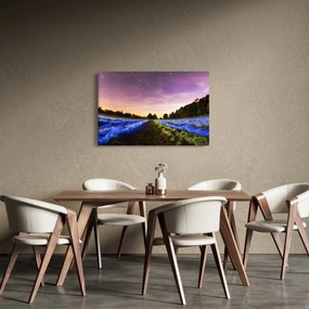 Színes mező képe (90x60 cm)