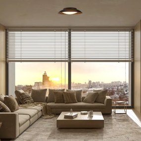 Rabalux 71188 - LED Mennyezeti lámpa HAFSA LED/20W/230V átm. 30 cm