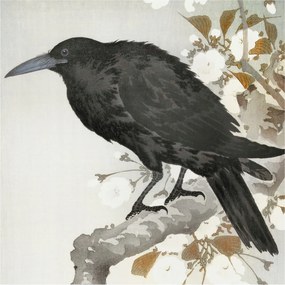 Stílusos Dekoratív Fotótapéta Flizelin Holló virágokkal 250x250 Ragasztó