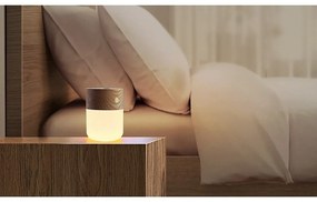 Elektromos aromadiffúzor Smart – Gingko