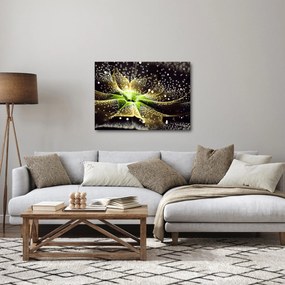 Kép - virág részlete (70x50 cm)