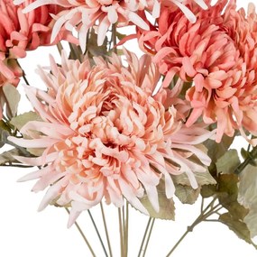Művirág (magasság 39 cm) Chrysanthemum – Ixia
