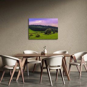 Rét képe (70x50 cm)