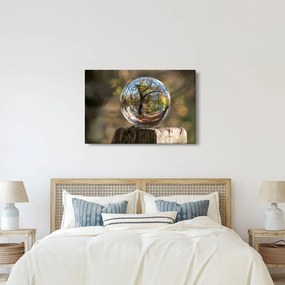 Kép - Tükröződés az üveggömbben (90x60 cm)