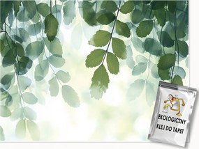 Fotótapéta Levelek Zöld Természet Hálószoba Nappali Tapéta Flizelina 200x140