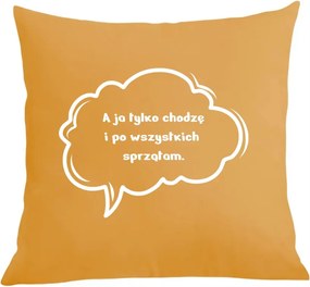 Párna párnahuzat Mindenkit takarítok