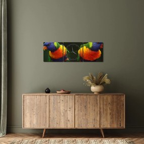 Papagájok képe (órával) (90x30 cm)