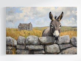 Vászonkép Canvas Természet Írország Fal Falikép Szamár 60x40