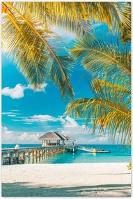 Poszterek 80x120 Trópusok Tájkép Pálma