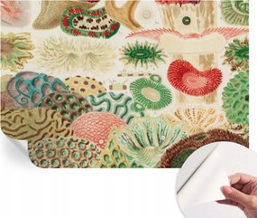 Öntapadós fotótapéta falra 3D Loft Organikus formák 104x70 cm