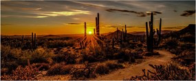Kép - A nap vége az arizonai sivatagban (120x50 cm)