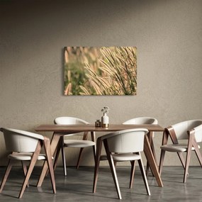 Kép - Gabona (90x60 cm)