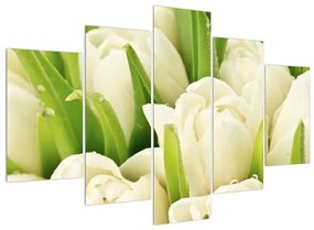 Tulipán virág képe (150x105 cm)