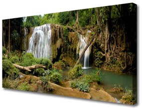 Vászonkép nyomtatás Vízesés River Forest Nature 100x50 cm