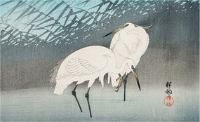 Fotótapéta Flizelin Dekoratív az irodába Finom madarak 416x254 Ragasztó