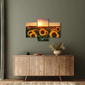 Kép - Napraforgó (90x60 cm)