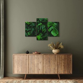 Monstery levelek képe (90x60 cm)