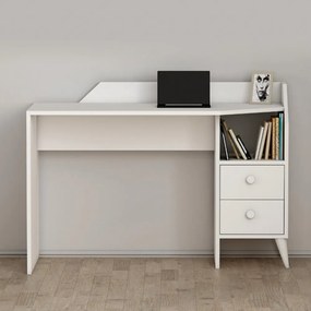 Fiókos íróasztal 120x55x82 cm barna FUR1871-2