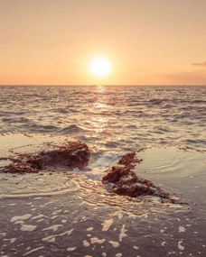 Poszter 40x50cm Naplemente a tengerparton, Assaf Frank