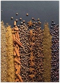 Poszterek 50x70 Színes fűszer szett