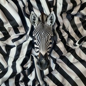 Canvas Vászonkép Fekete Fehér Zebra Portré Szövet Ágynemű 80x80