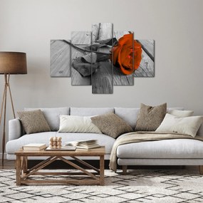 Kép - Narancs Rózsa (150x105 cm)