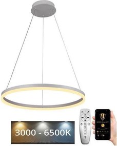 Brilagi - LED fényerőszabályozható, kábelre függesztett csillár CIRCLE LED/42W/230V 3000-6500K + távirányító