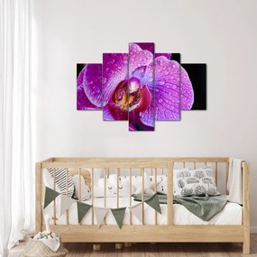 Részletes kép az orchidea virágról (150x105 cm)