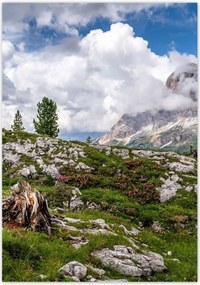 Poszterek 70x100 Hegyi kilátás Tájkép