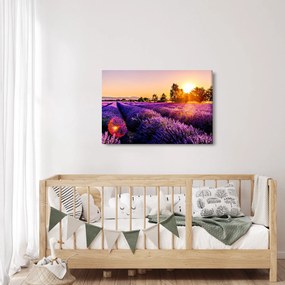 A levendula mező képe, Provence (90x60 cm)