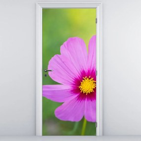 Fotótapéta ajtóra - Réti virág (95x205cm)