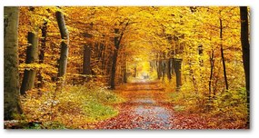 Akril üveg kép Erdő ősszel oah-86844242
