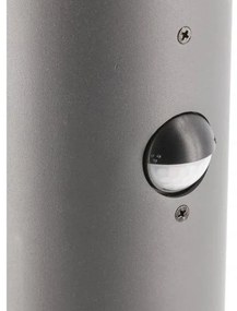 Lámpa Kerti lámpatest CORTA-P PIR 40, E27, MAX.25W, IP44, AC220-240V, 50-60Hz, posta, grafit