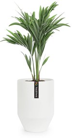 Fox & Fern Almere Virágcserép Polystone Ideális növények részére, kézzel készített, kerek