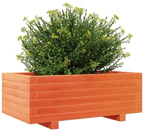 viaszbarna tömör fenyőfa kerti virágláda 70x40x26,5 cm