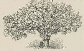 Fotótapéta Falra az előszoba konyhájába Fa illusztráció 416x254 Ragasztó