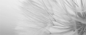 Kép - Pitypang (120x50 cm)