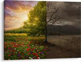 Kép - Életciklus (70x50 cm)