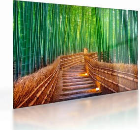 Kép - Japán bambusz erdő (üvegen) (70x50 cm)
