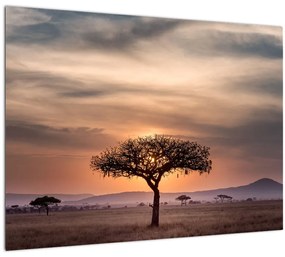 Naplemente képe Tanzániában (üvegen) (70x50 cm)