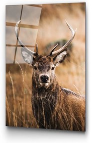 Üveg kép 70x100 cm Deer – Wallity