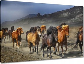 Vászonkép 120x80 Vadlócsorda