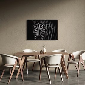 Zebra képe (90x60 cm)