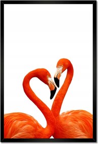 Poszterek keretben 40x60 Szerelmes flamingók